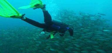 SSI or PADI Open Water Diver Certification